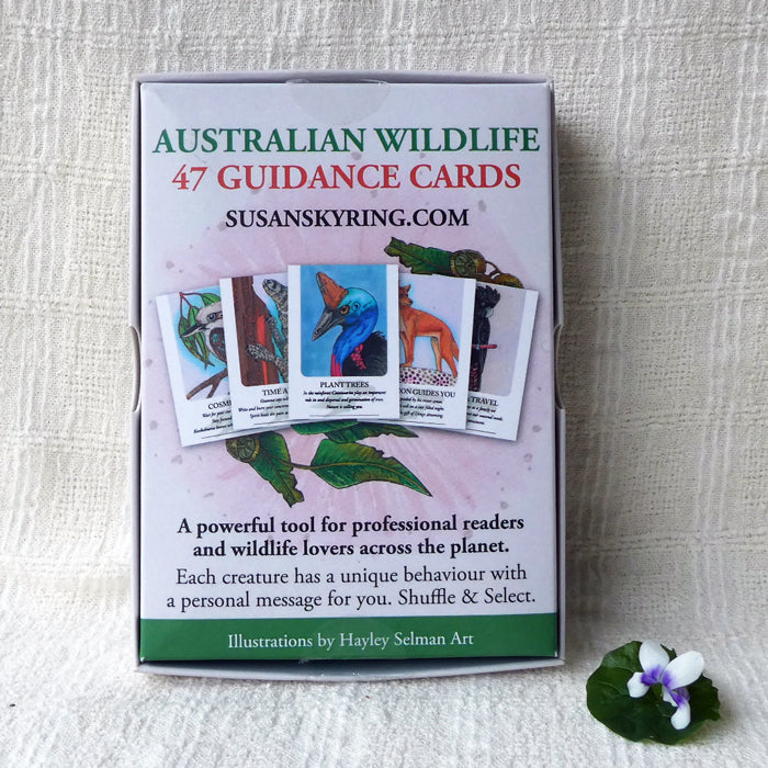 Australian Wildlife Guidance Cards